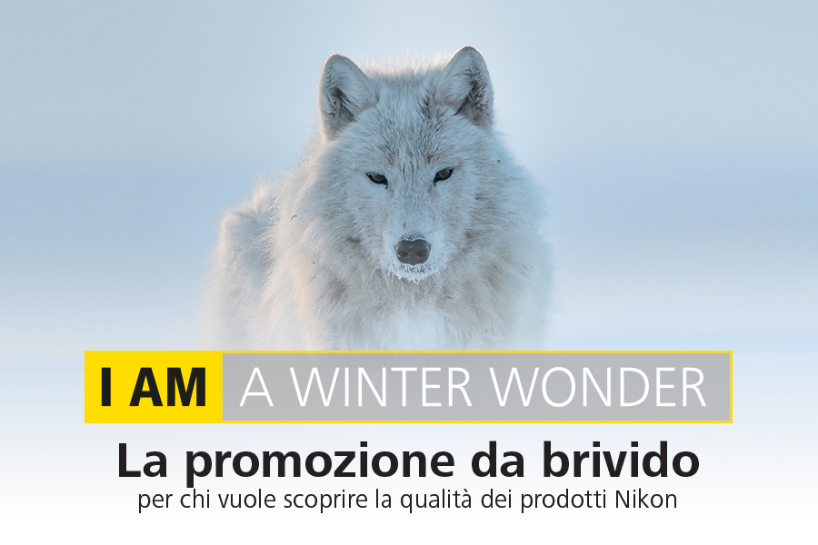 Nikon Winter Wonder